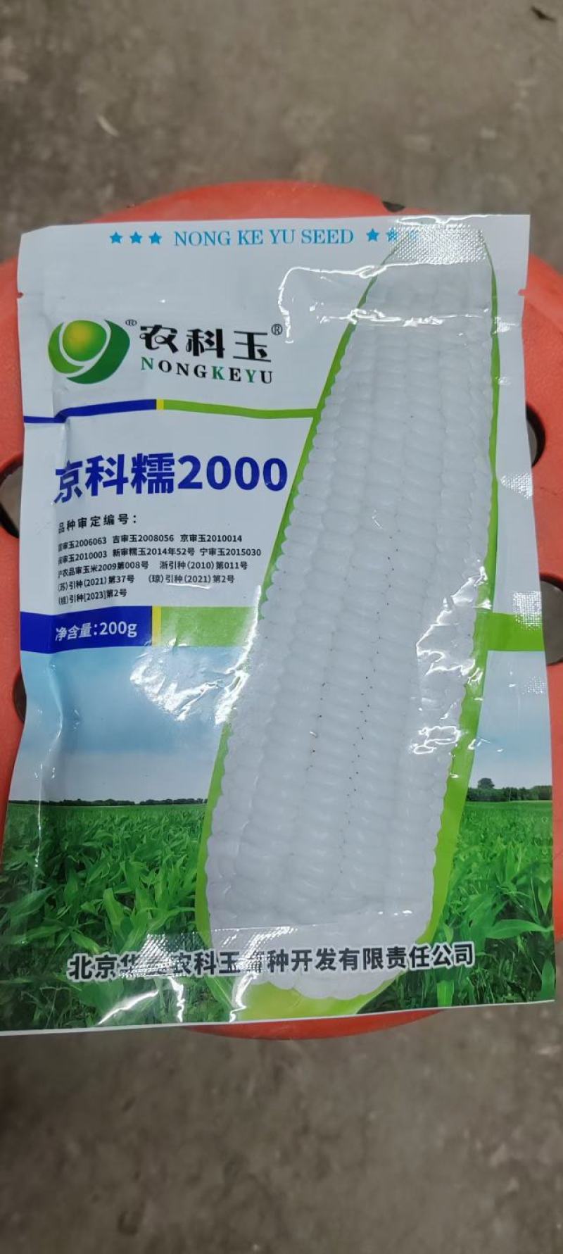 糯玉米种子，京科糯2000，白玉米，甜玉米，