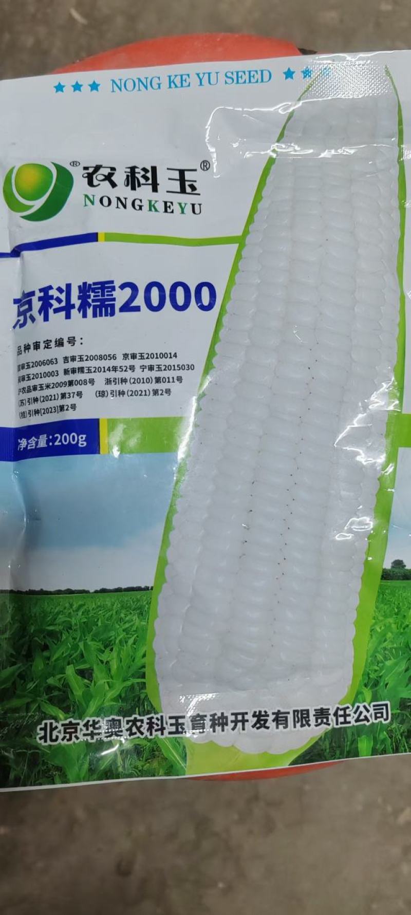 糯玉米种子，京科糯2000，白玉米，甜玉米，