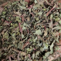 马齿笕咀子