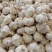 【推荐】金乡大蒜山东大蒜大量上市紫皮大蒜质优价廉全国发货