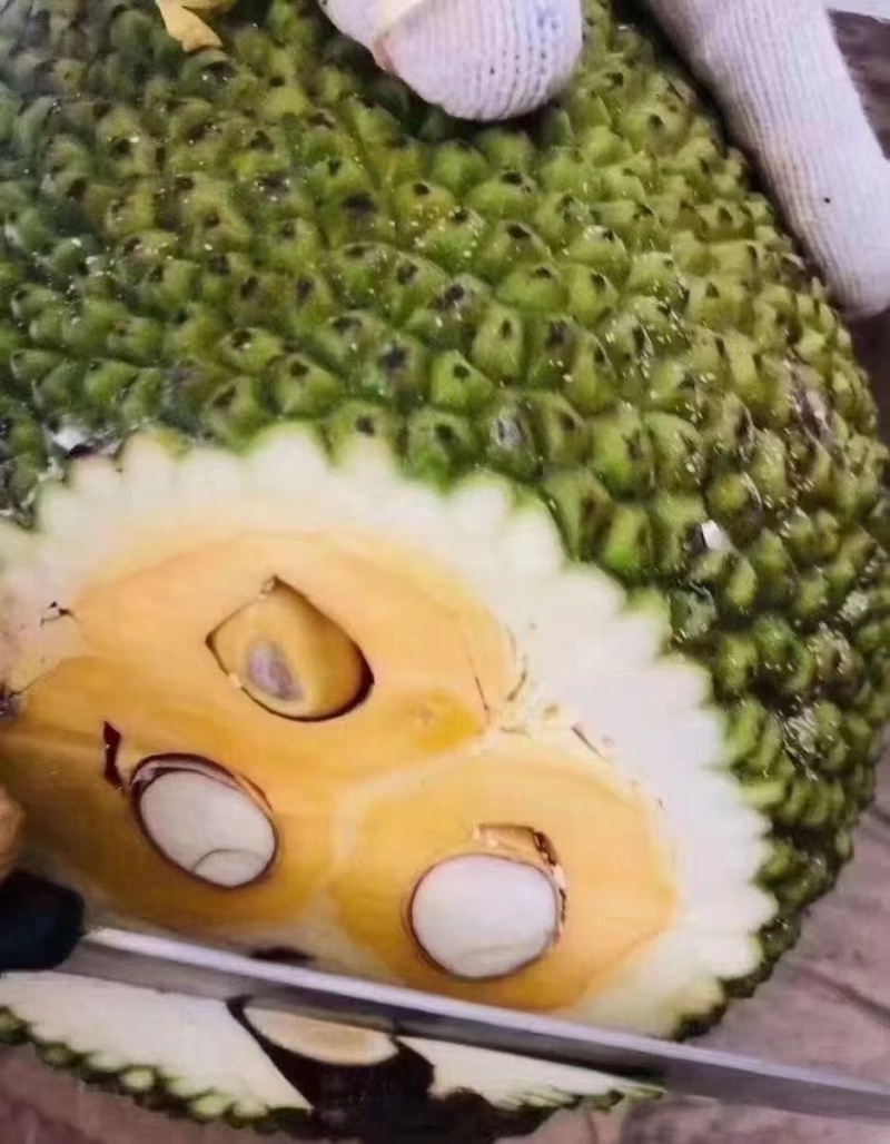 菠萝蜜