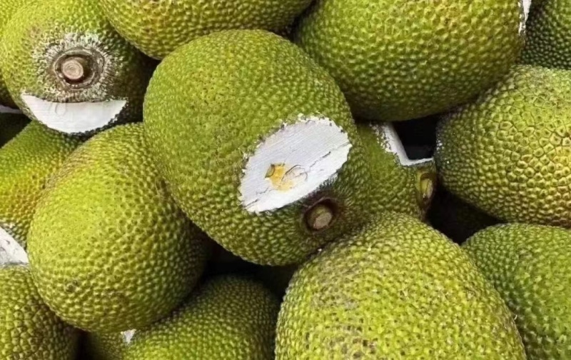 菠萝蜜