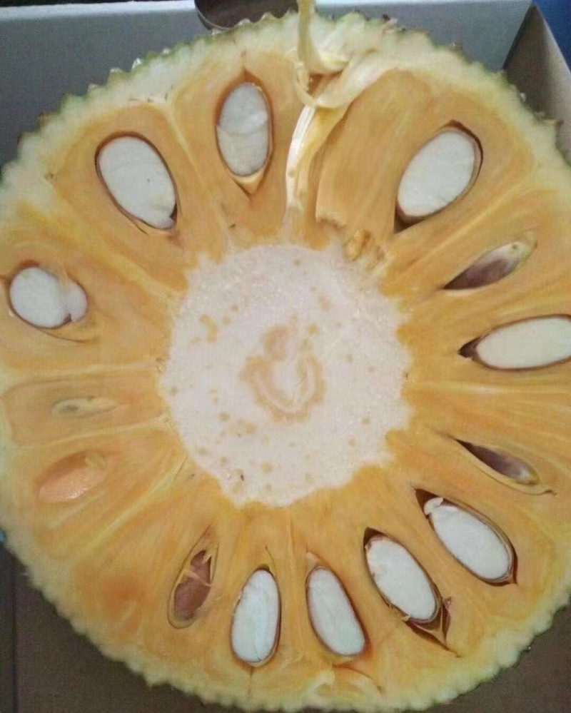 菠萝蜜