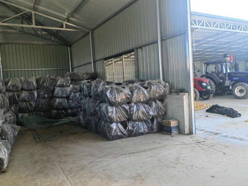 威灵仙水洗摆盘基地直发品质保障量大优惠对接全国