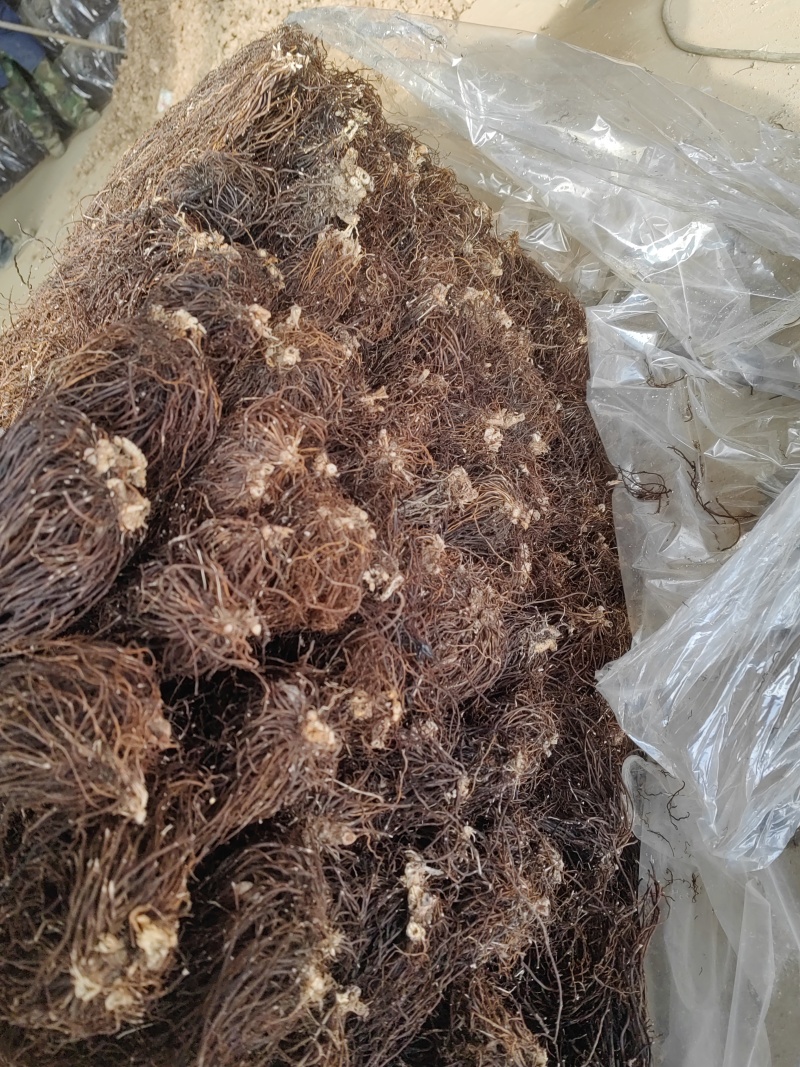 威灵仙水洗摆盘基地直发品质保障量大优惠对接全国