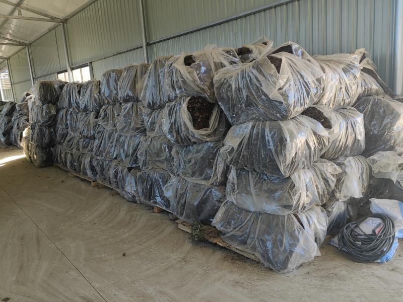 威灵仙水洗摆盘基地直发品质保障量大优惠对接全国
