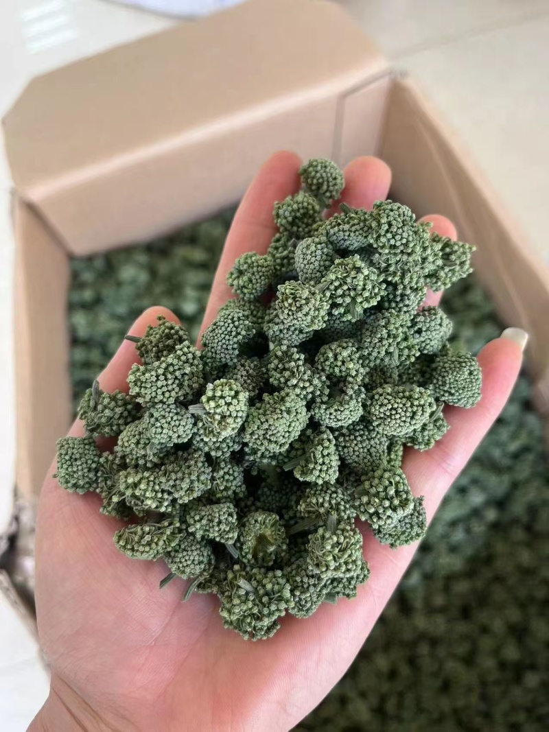 三七花，一手货源，产地直发，量大价优