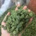 三七花，一手货源，产地直发，量大价优