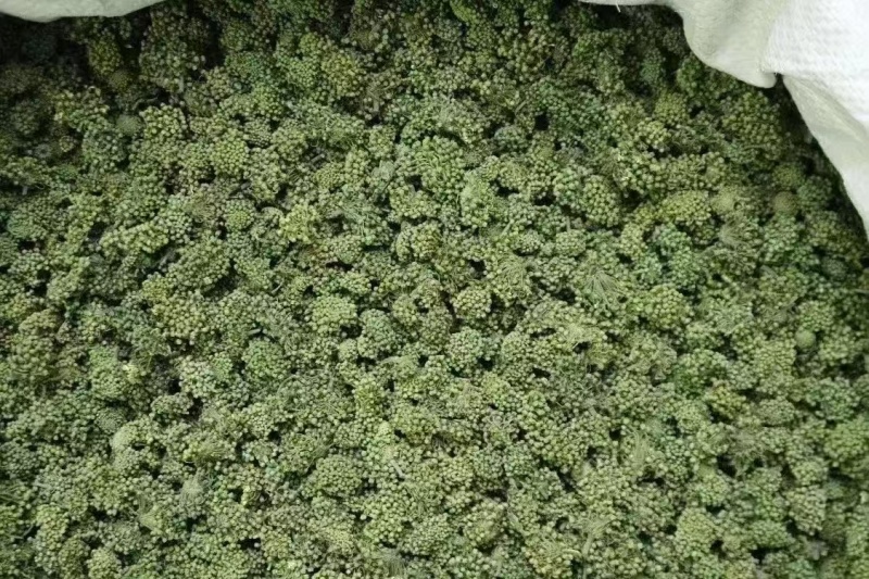 三七花，一手货源，产地直发，量大价优