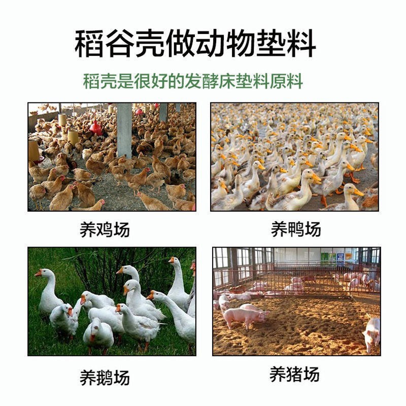 稻壳