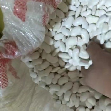 云南天下第一豆