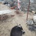 【正宗】蒙山黑山羊羊腔子基地直发保质保量现杀现发