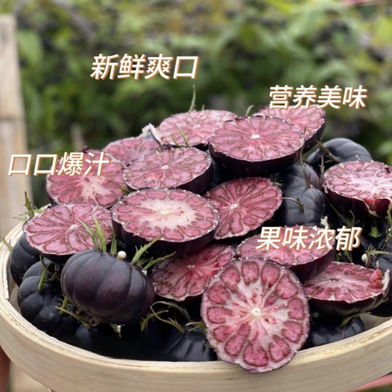 云南当季食用红果参算盘果早熟晚熟大果当年四季蜘蛛果水果