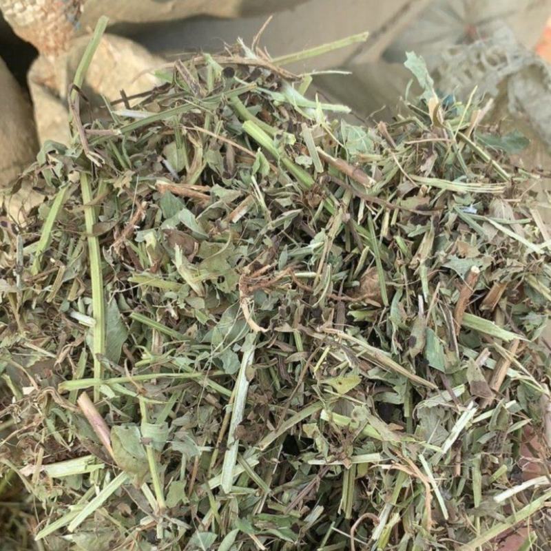 一级花生秧、过风选、过滚筒、质量保证、草场直发！