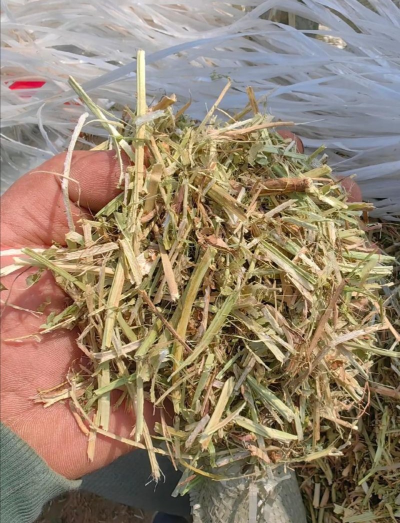一级花生秧、过风选、过滚筒、质量保证、草场直发！