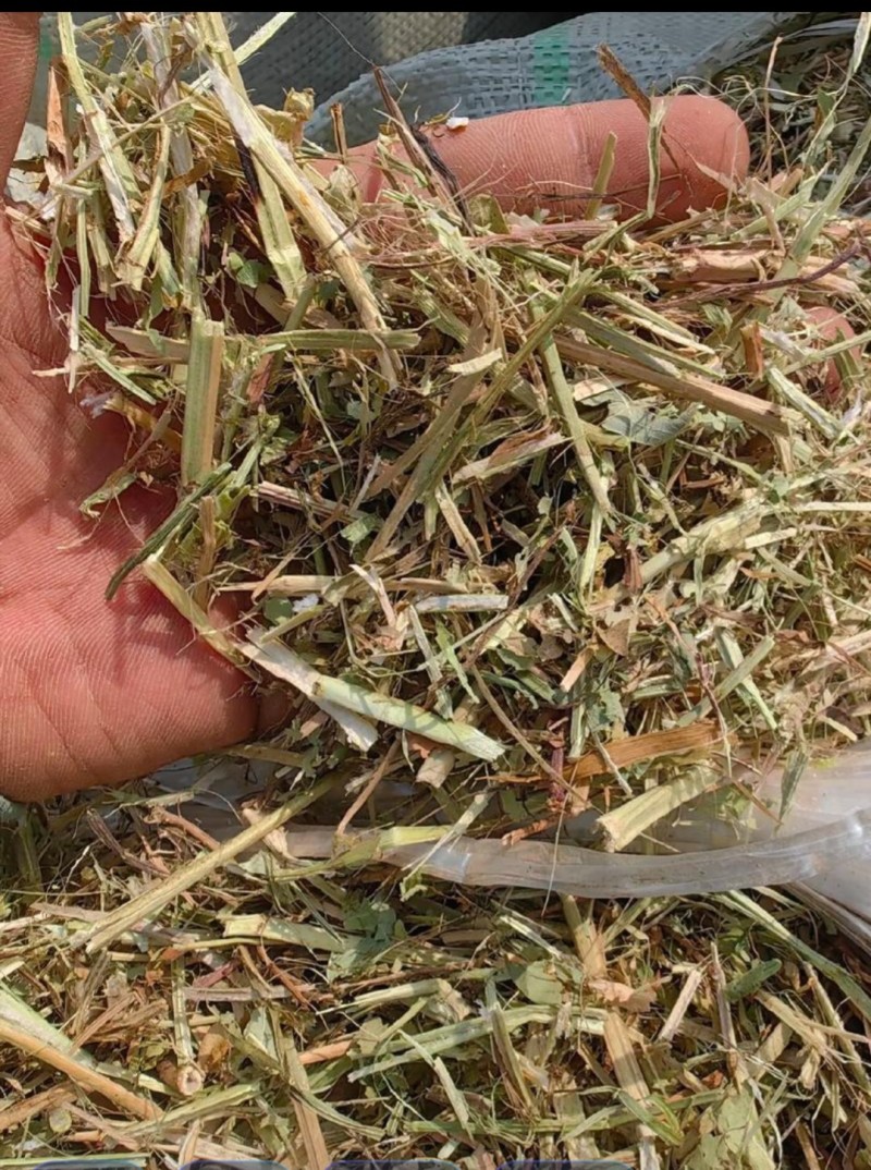 一级花生秧、过风选、过滚筒、质量保证、草场直发！