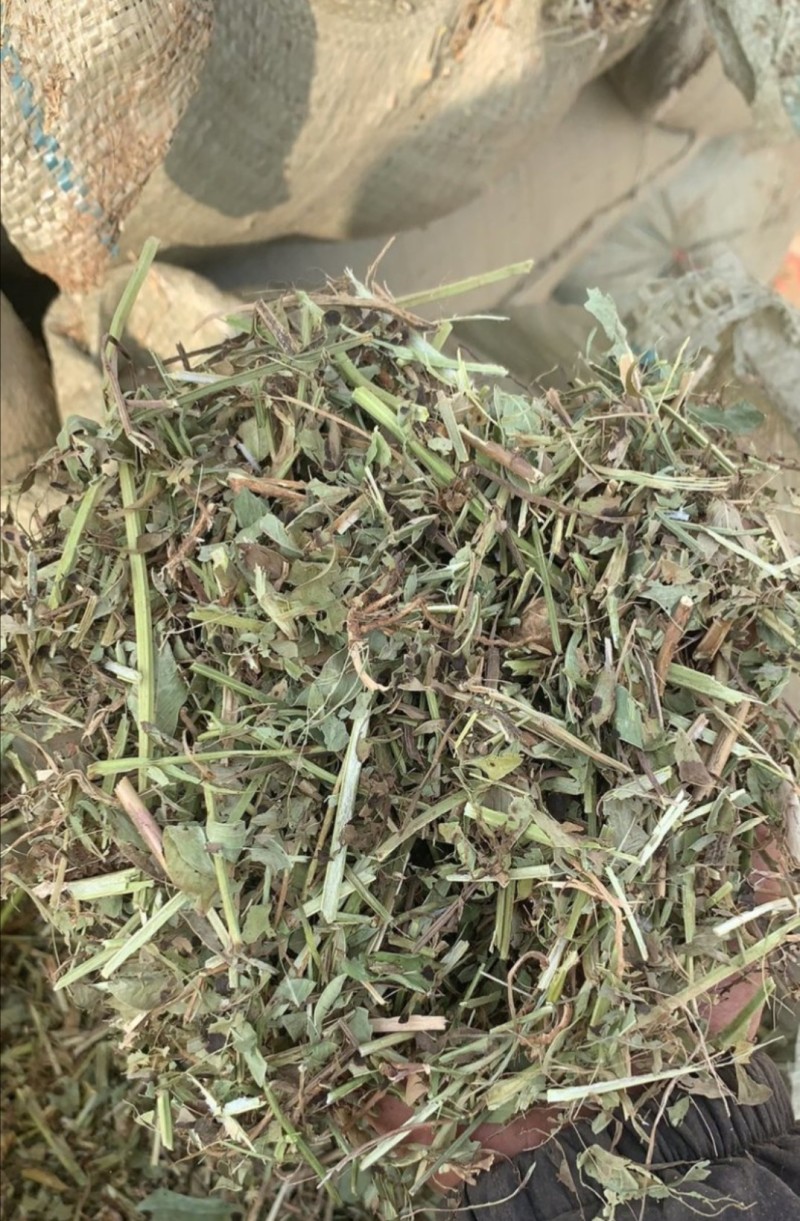 一级花生秧、过风选、过滚筒、质量保证、草场直发！