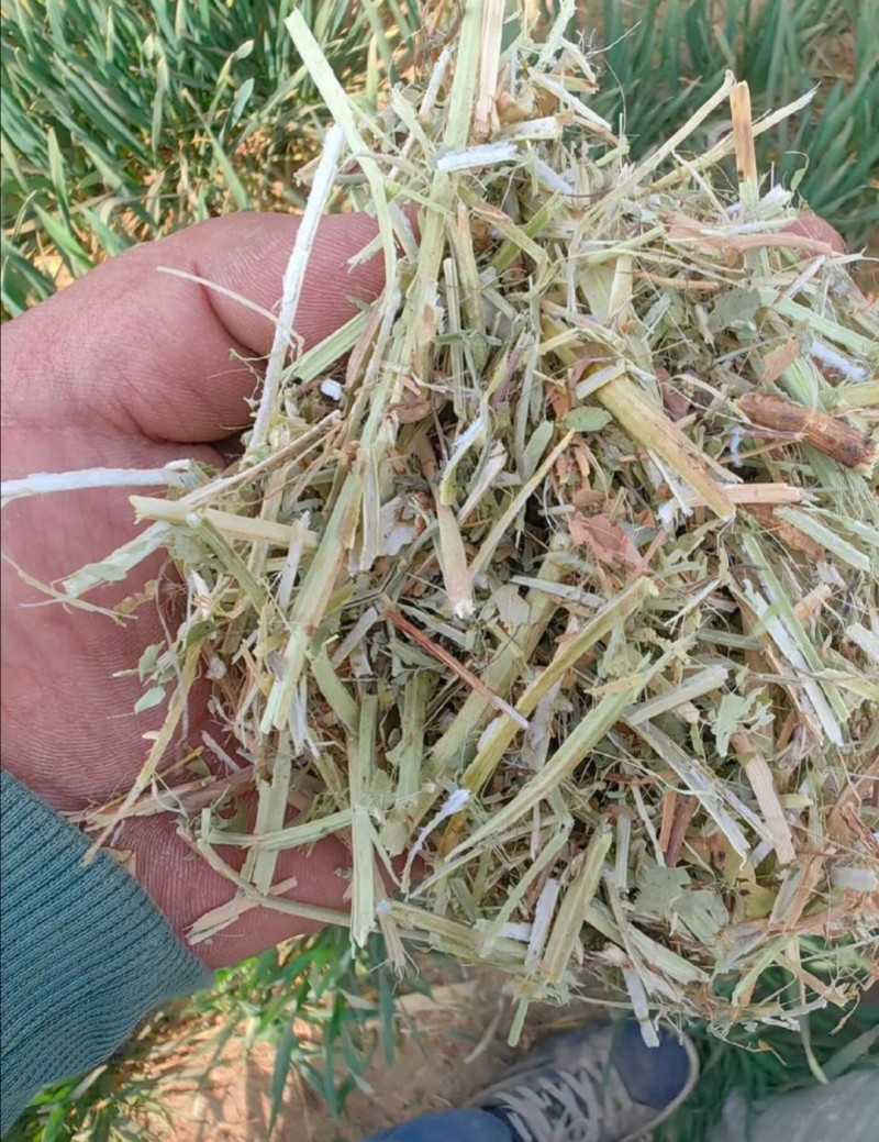 一级花生秧、过风选、过滚筒、质量保证、草场直发！