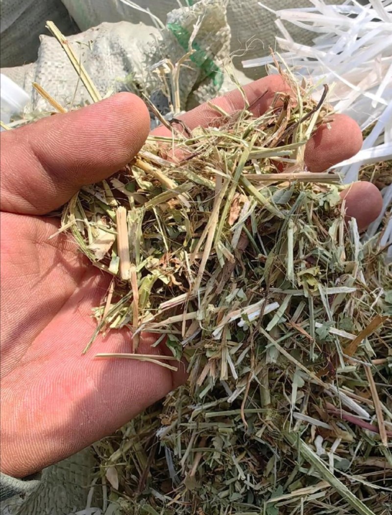 一级花生秧、过风选、过滚筒、质量保证、草场直发！