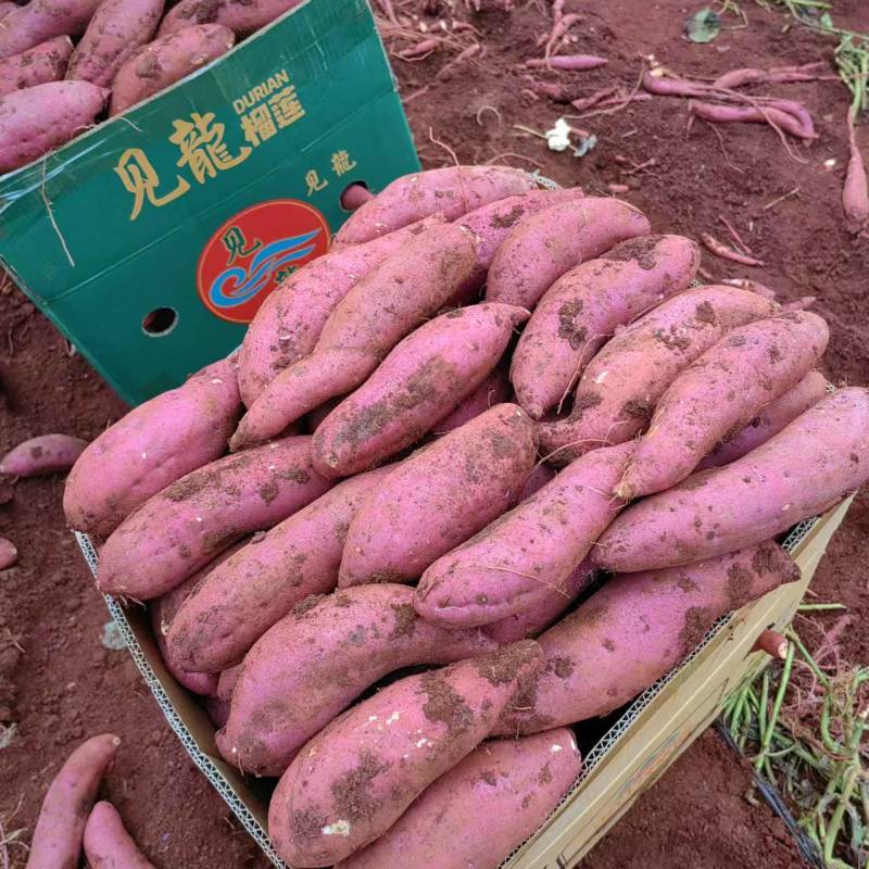 西瓜红