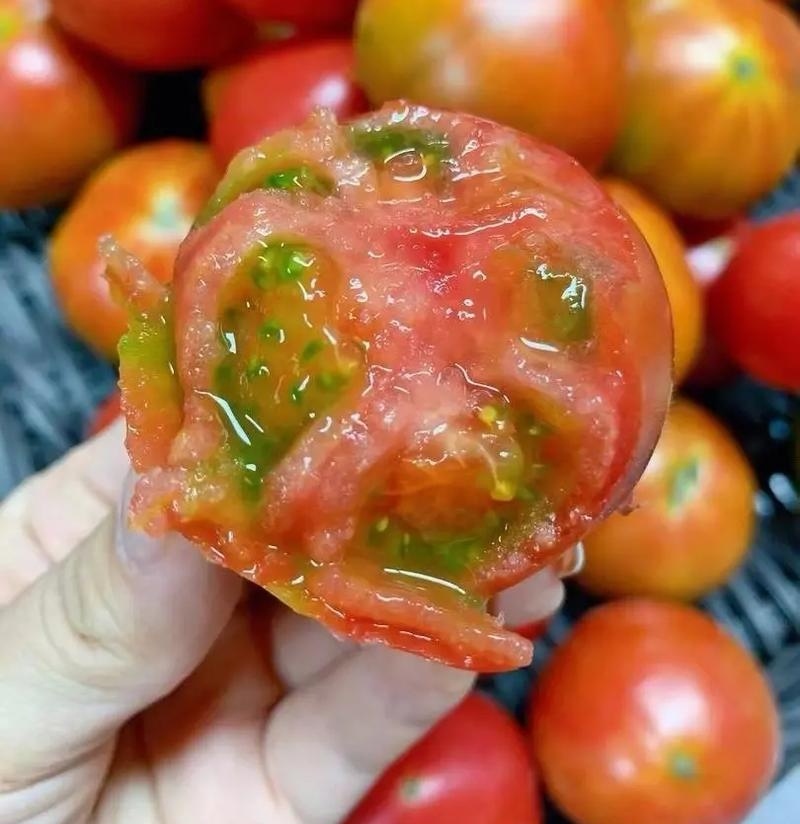 《草莓柿子》草莓西红柿铁皮西红柿基地直供全国代发