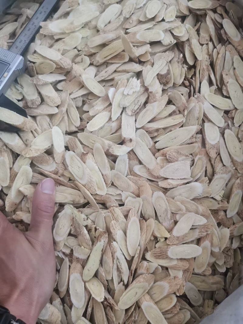 甘肃黄芪片大量供应品质保证诚信经营欢迎老板来电洽谈