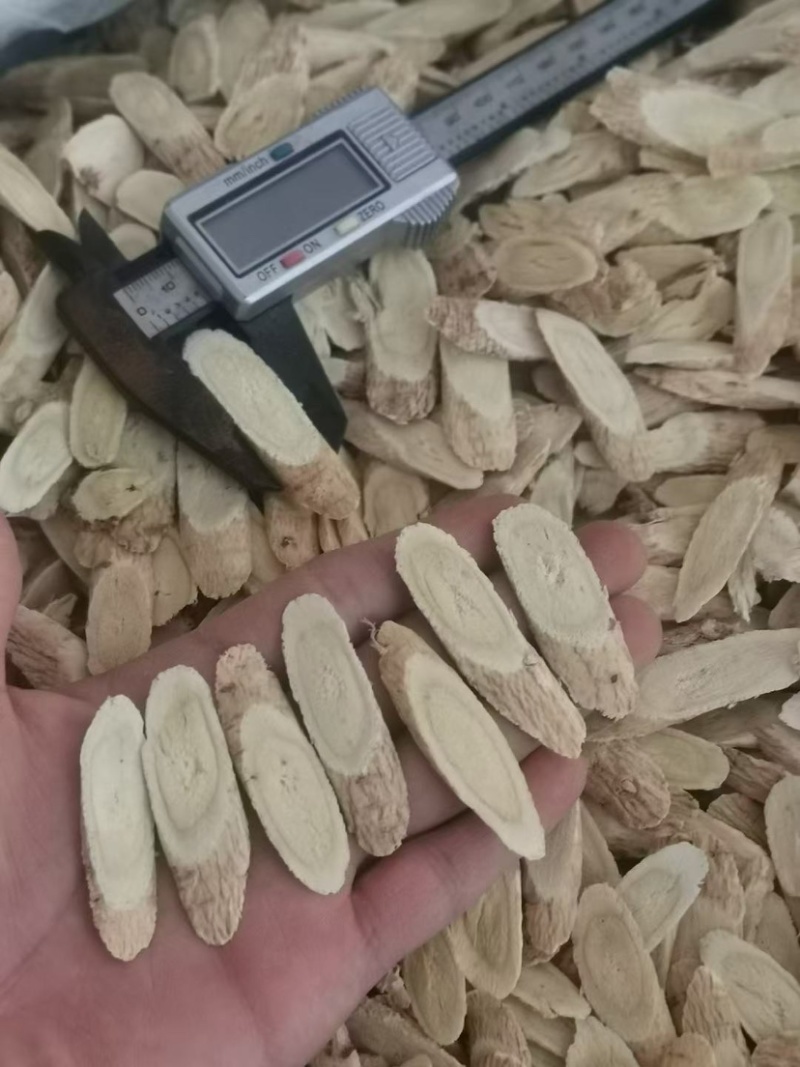 甘肃黄芪片大量供应品质保证诚信经营欢迎老板来电洽谈