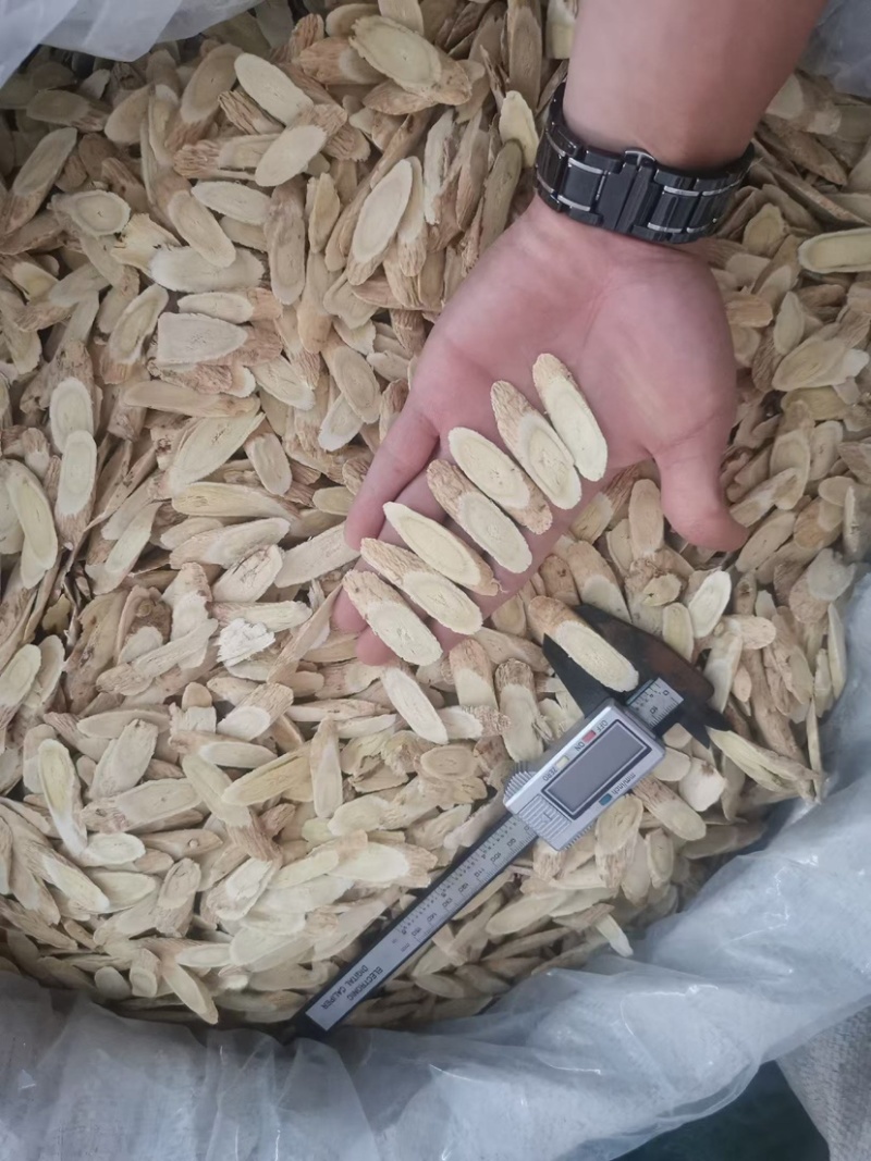 甘肃黄芪片大量供应品质保证诚信经营欢迎老板来电洽谈