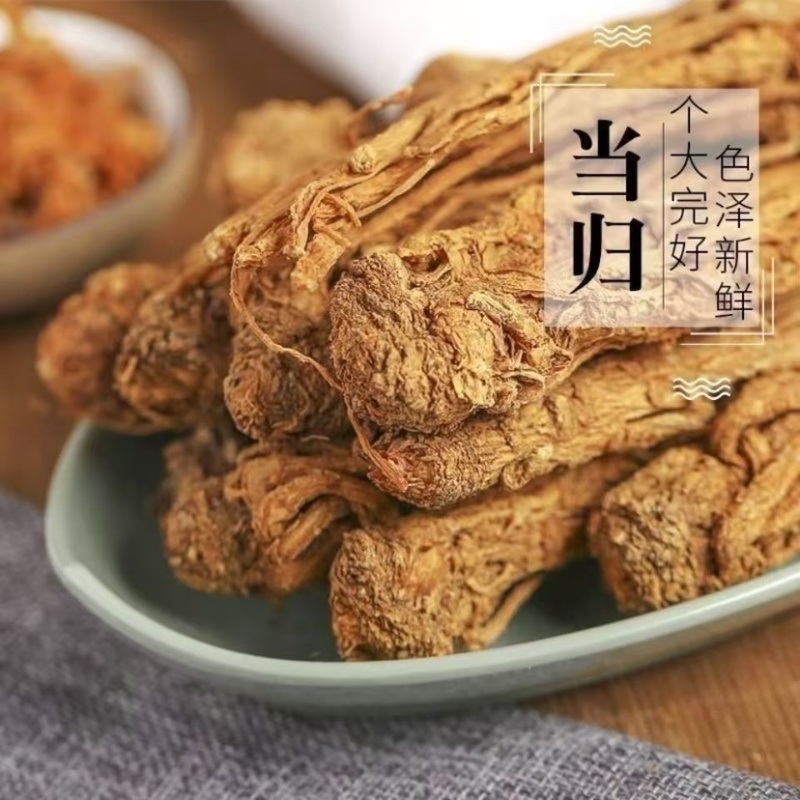 甘肃当归大量供应品质保证诚信经营一手货源欢迎来电