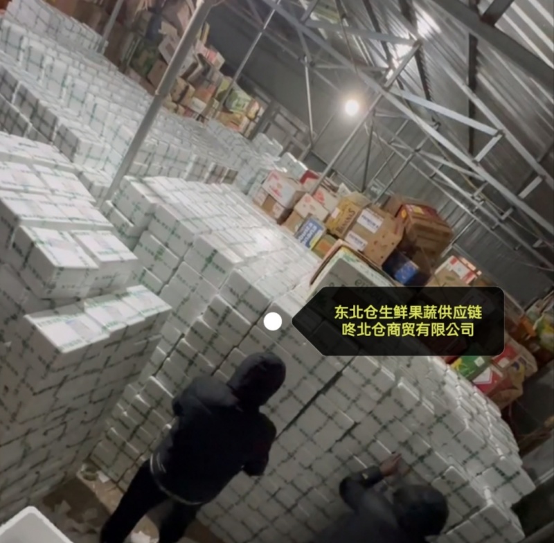 香水梨产地冻梨一手货源规格齐全基地现货供应量大可长期合作