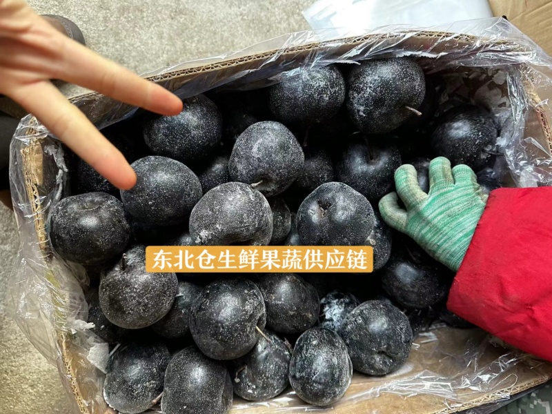 香水梨产地冻梨一手货源规格齐全基地现货供应量大可长期合作