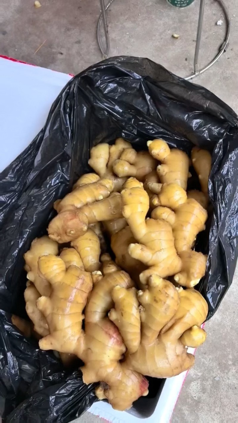 生姜，产地直发，电商，市场，超市，代存，代收，一手货源