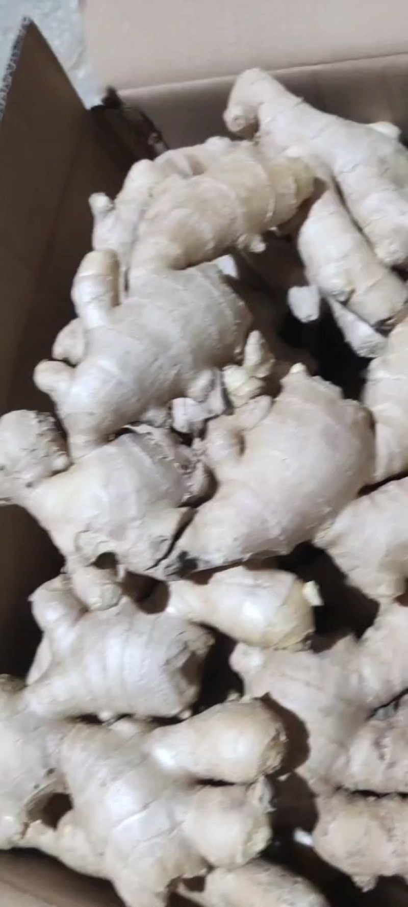 【精选】生姜大黄姜，电商，超市，市场，产地直发，保质保量
