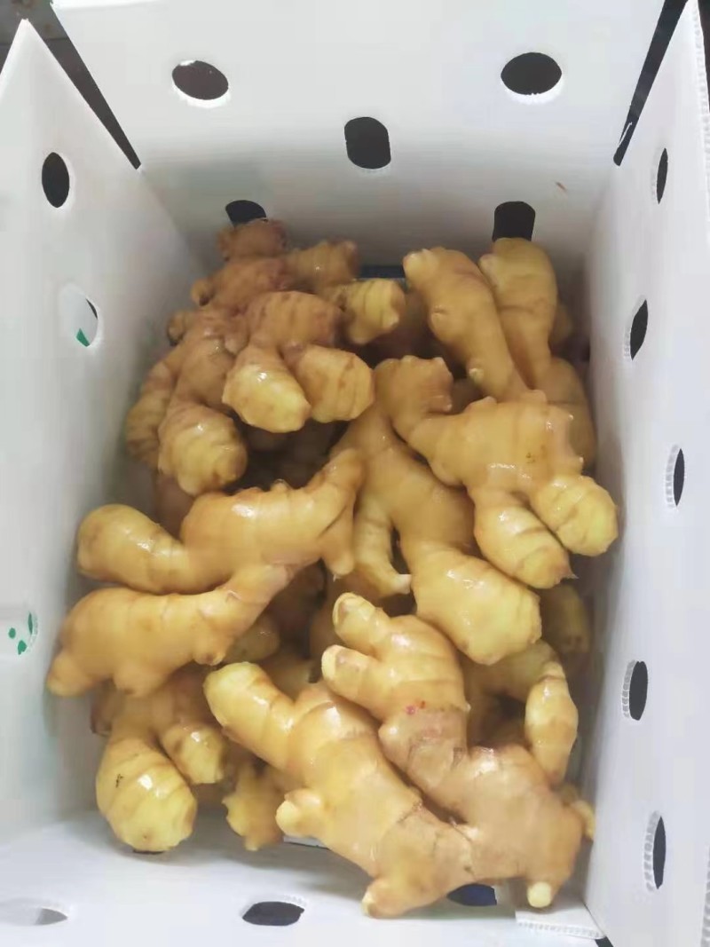 【精选】生姜大黄姜，电商，超市，市场，产地直发，保质保量