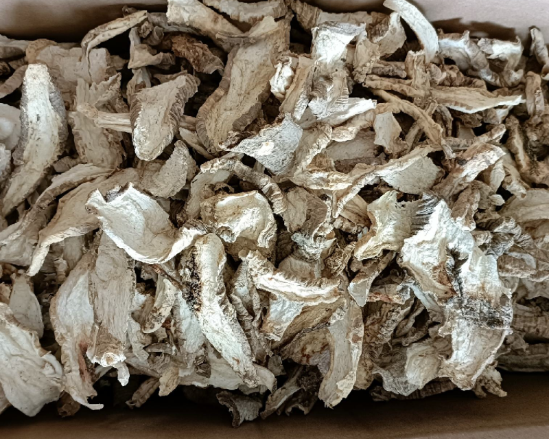 山海螺片