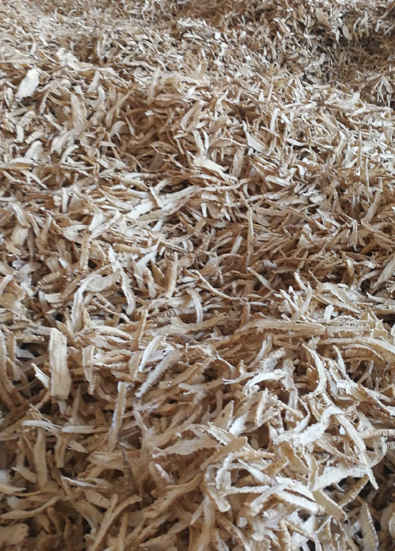 山海螺片