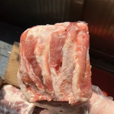 月牙骨