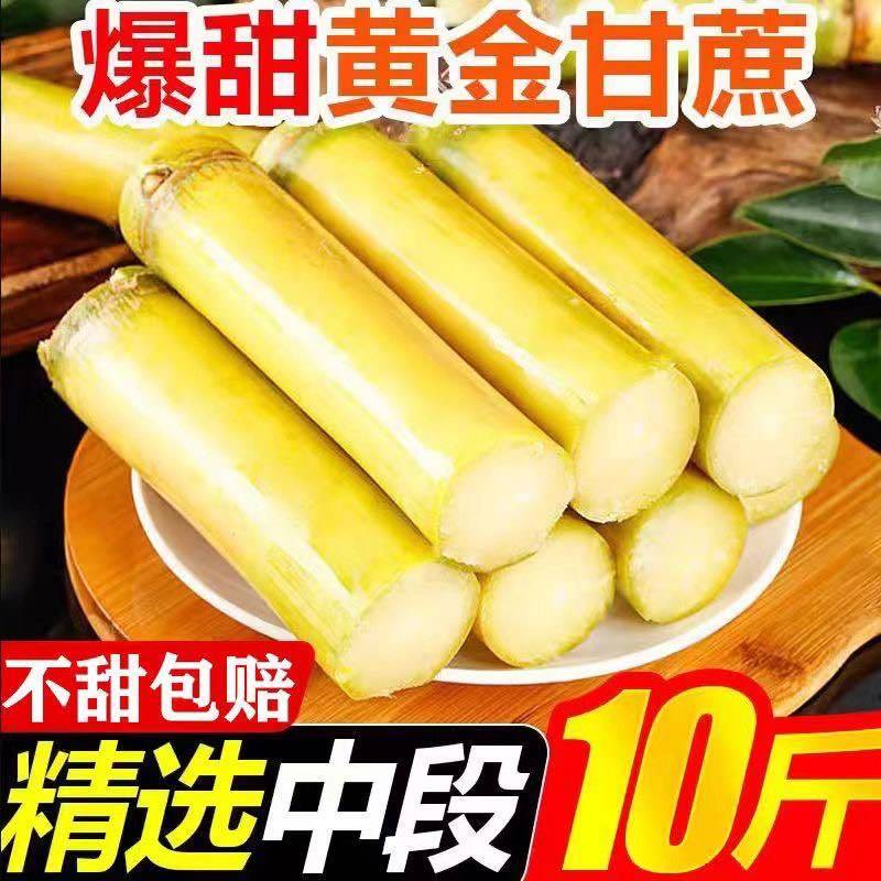 云南黄金正宗甘蔗现砍黄皮新鲜当季青皮水果脆甜多汁整箱代发