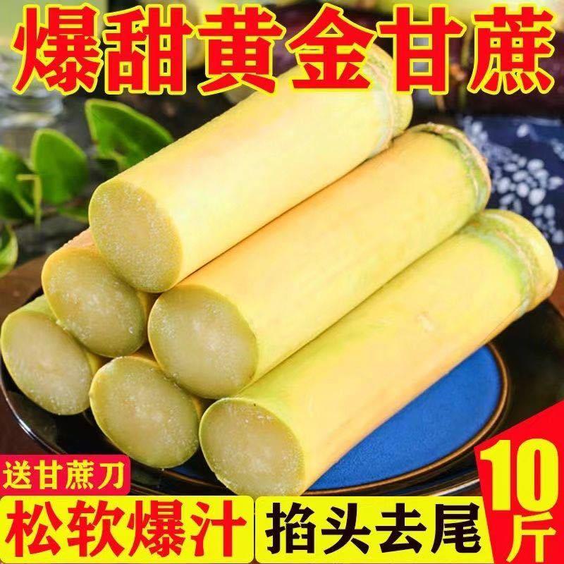云南黄金正宗甘蔗现砍黄皮新鲜当季青皮水果脆甜多汁整箱代发