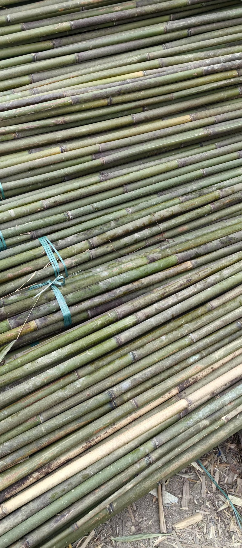 冬瓜竹，菜架竹，各种规格可订做，产地一手货源，欢迎选购！