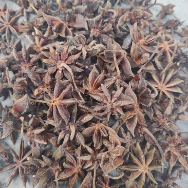 干枝八角颜色好个头大