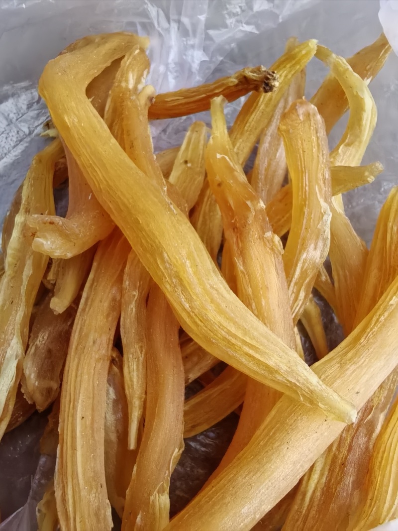 野生天冬