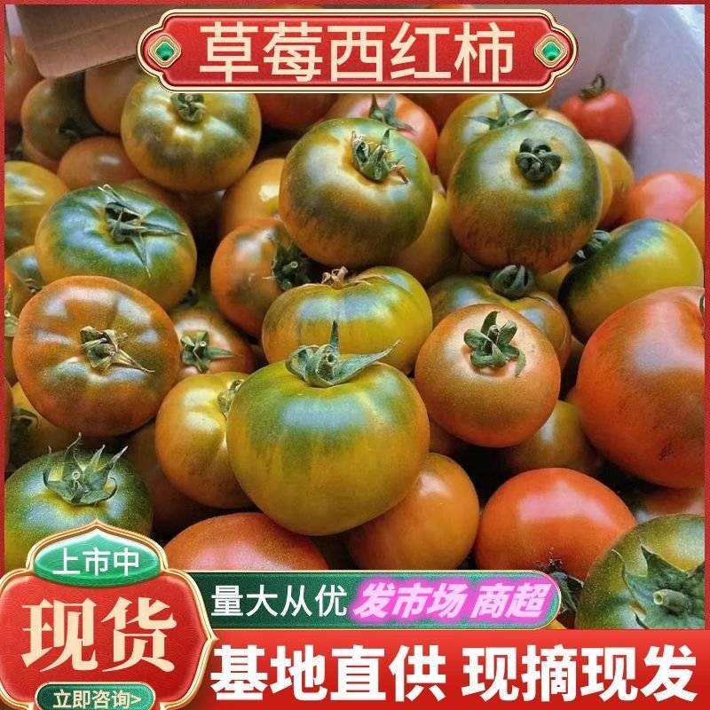 《草莓柿子》草莓西红柿铁皮西红柿基地直供全国代发