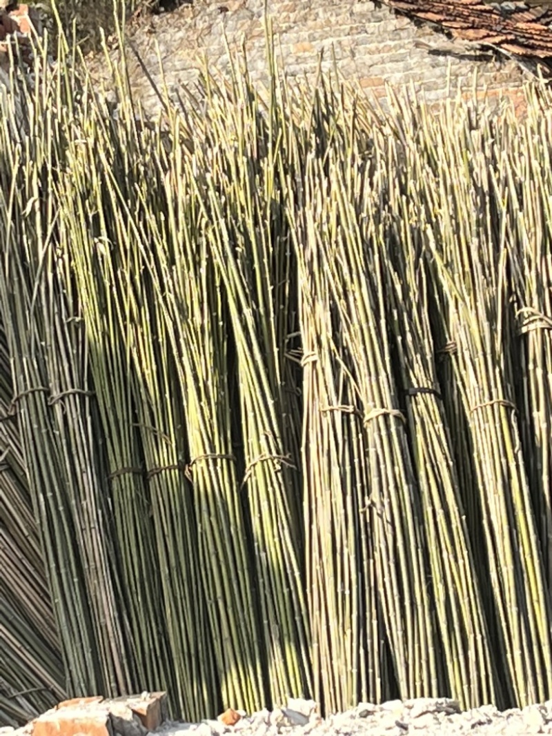 竹杆大棚蔬菜种植专用竹条
