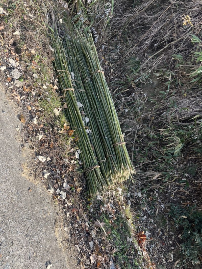 竹杆大棚蔬菜种植专用竹条
