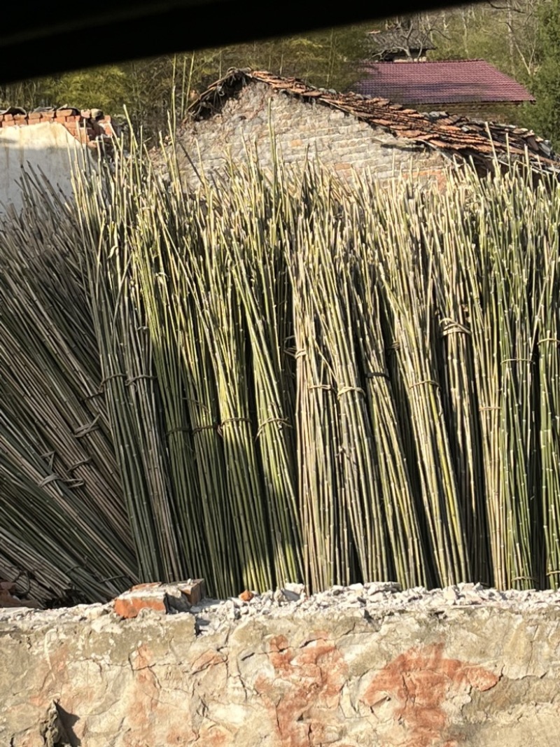 竹杆大棚蔬菜种植专用竹条