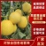 【实力】早甜黄金蜜甜瓜苗高产糖度高金蜜瓜苗