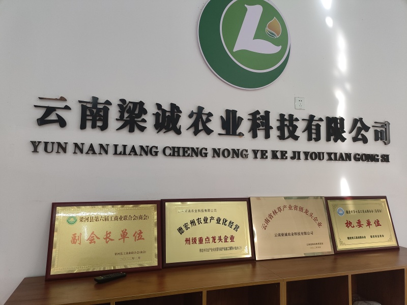 【热销中】云南省梁河古韵南甸山茶油5L壶装。