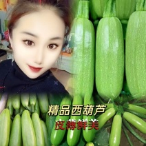 山东西葫芦费县绿皮西葫芦品质好产地行情抢先看可致电详谈价
