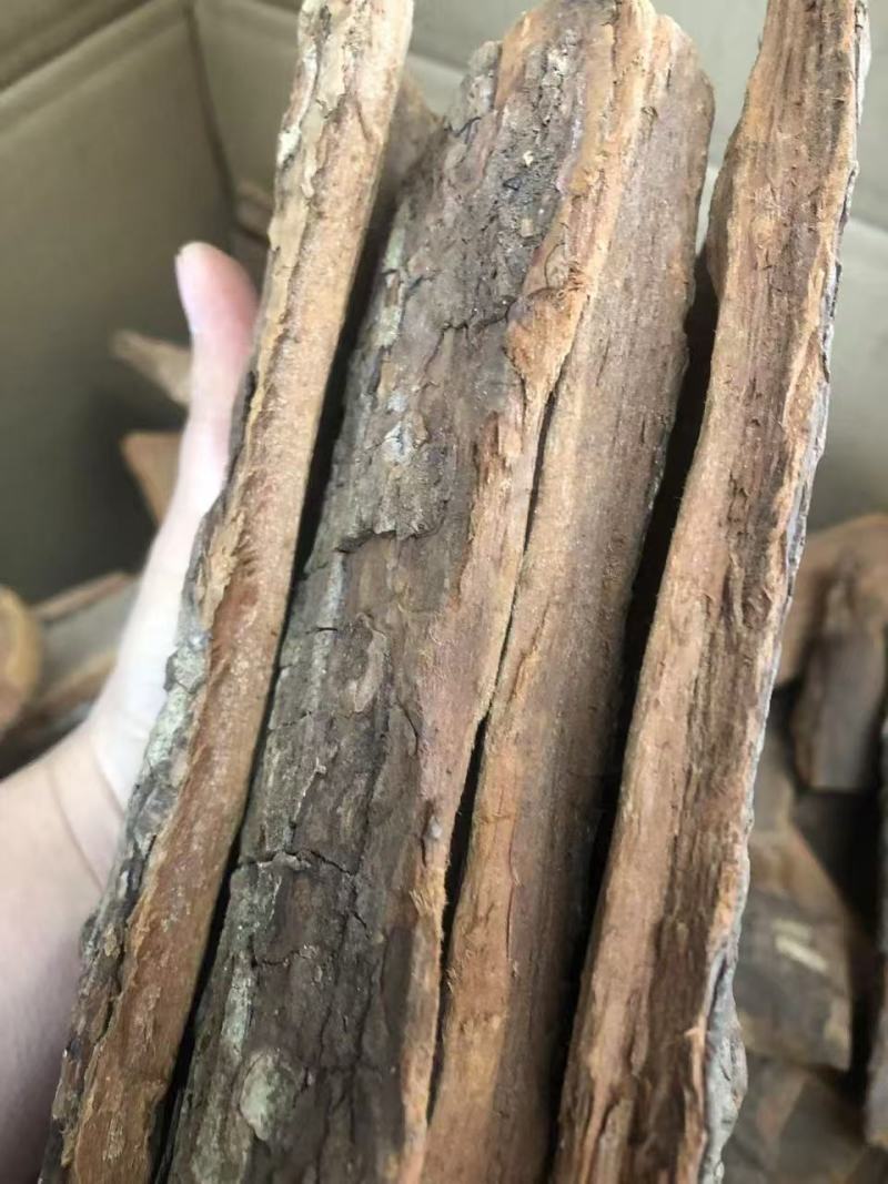 卡宾达树皮，一手货源，质量保证，价格便宜